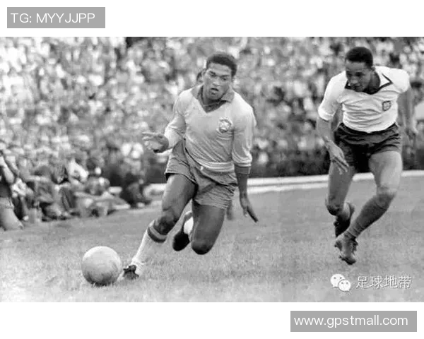 当顶级足球球星化身动物英雄展现绿茵场上的热血与独特魅力